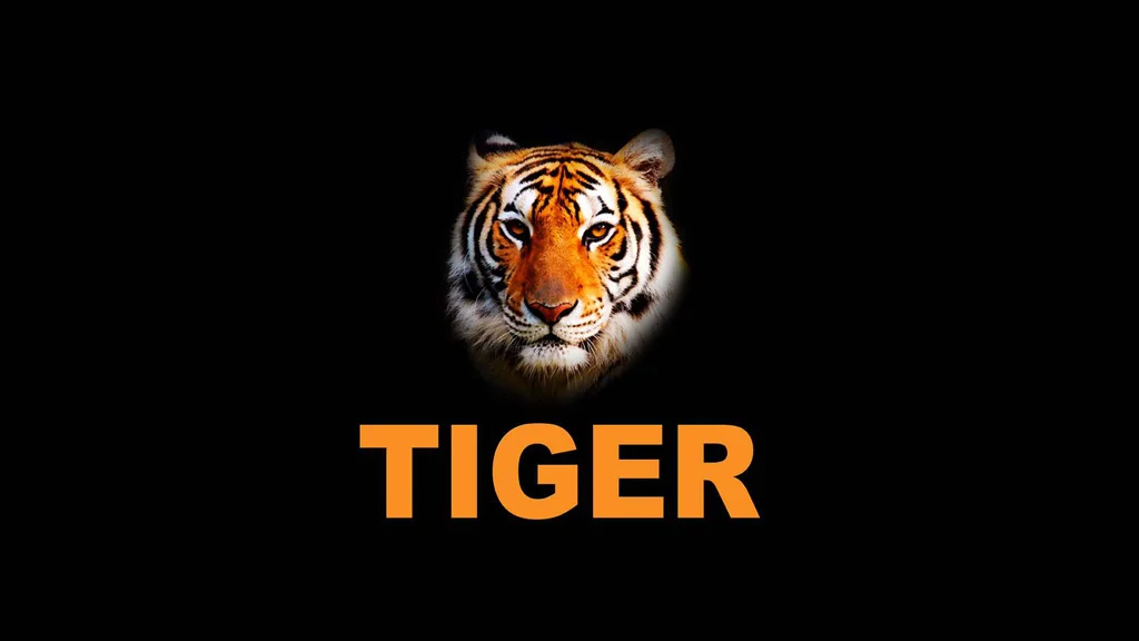 LOGO.webp